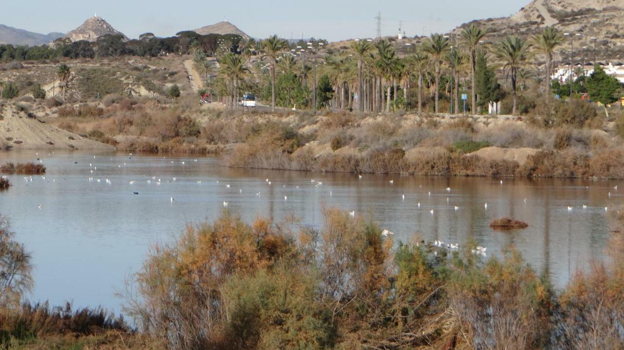Vera Rental Torremar Natura 외부 사진